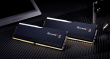 G.Skill Ripjaws M5 RGB F5-6000J3036F48GX2-RM5RK memory module 96 GB 2 x 48 GB DDR5