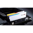 48GB PC 5200 CL40 G.Skill (2x24GB) 48-M5 RGB RM5RW