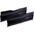 48GB PC 8200 CL40 G.Skill KIT (2x24GB) 48-TZ5K