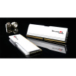 32GB (2x16GB) G.Skill Ripjaws M5 RGB D6000 CL28 RAM Speicher Kit