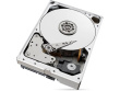 Seagate Drive SkyHawkAI 10TB 3,5 256MB ST10000VE001
