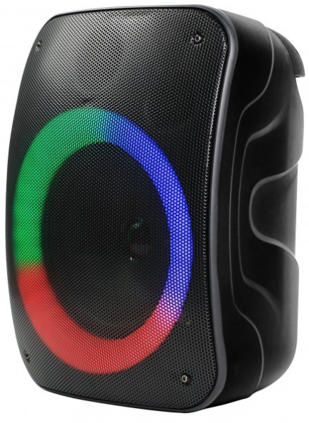 Rebeltec Bluetooth speaker Rebelt ec STAGE 300