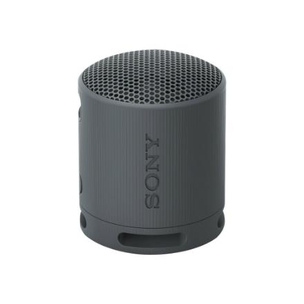 Sony | Speaker | SRS-XB100 | Waterproof | Bluetooth | Black | Portable | Wireless connection 429058