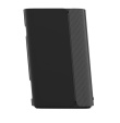 Creative Labs Wireles speakers 2.0 T100
