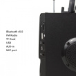 Audiocore Bluetooth speaker with remote Audiocore AC730