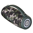 HOCO HA4 Surge Portable Speaker Blutooth/ FM/ TF card/ USB memory stick/ AUX 2 x 20 W Green