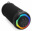 Denver BTG-213 portable/party speaker Black 10 W