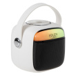 Adler Karaoke speaker AD1199W