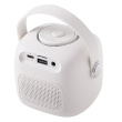 Adler Karaoke speaker AD1199W
