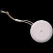 Beosound A1 2nd Gen Pink