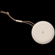 Beosound A1 2nd Gen Gold Tone