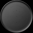 Beosound Balance Black Oak