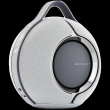 Devialet Mania Light Grey