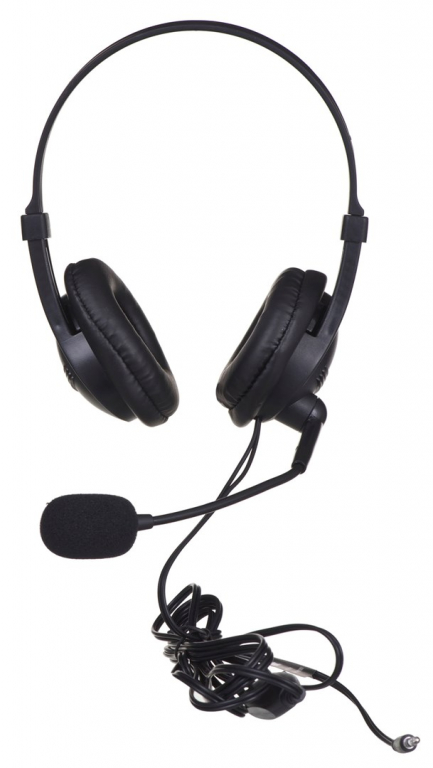 Headphones with Microphone I-Box W1MV