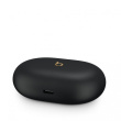 Apple Beats Studio Buds + Wireless Headphones - Black with Gold