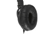 Kensington USB-C Hi-Fi Headphones with Mikrofon