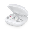 Beats | True Wireless Earbuds | Beats Fit Pro | Yes | In-ear | Wireless MK2G3ZM/A