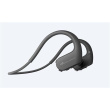 Sony | Waterproof and dustproof Walkman | NW-WS623B | Yes | No | Yes | Black NWWS623B.CEW