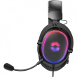 Speedlink Gaming Kõrvaklapid mikrofoniga CONUX RGB. PC/PS5/PS4/Xbox/Switch retail