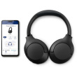 Philips TAH8506BK/00 schwarz