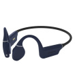 Creative Labs Earphones Outlier Free Pro Plus black-navy blue