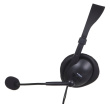 Headphones with Microphone I-Box W1MV