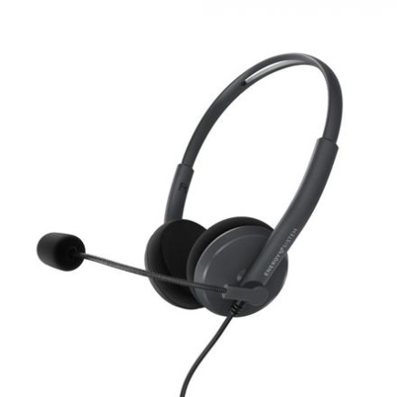 Energy Sistem Kõrvaklapid mikrofoniga Office 2 Anthracite, On-ear, 3.5mm plug, retractable boom mic. | Energy Sistem | Wired Earphones | Kõrvaklapid mikrofoniga Office 2 | Wired | On-Ear | Mikrofon | Anthracite 452132