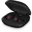 FIT PRO TRUEWIRELESS