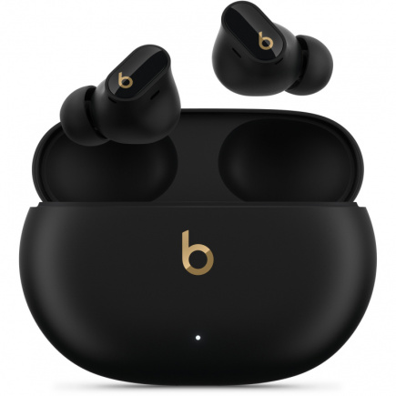 STUDIO BUDS + TRUE WL 21258646