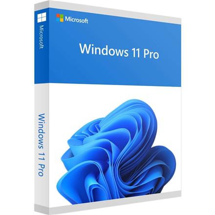 Windows 11 Pro - Licence - 1 licence - OEM - DVD - 64-bit - English 