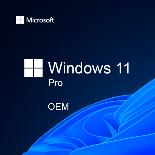 Windows 11 Pro - Licence - 1 licence - OEM - DVD - 64-bit - English 