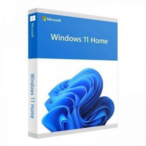 MICROSOFT Windows 11 Home - Box pack - 1 licence - flash drive - 32/64-bit - English International 