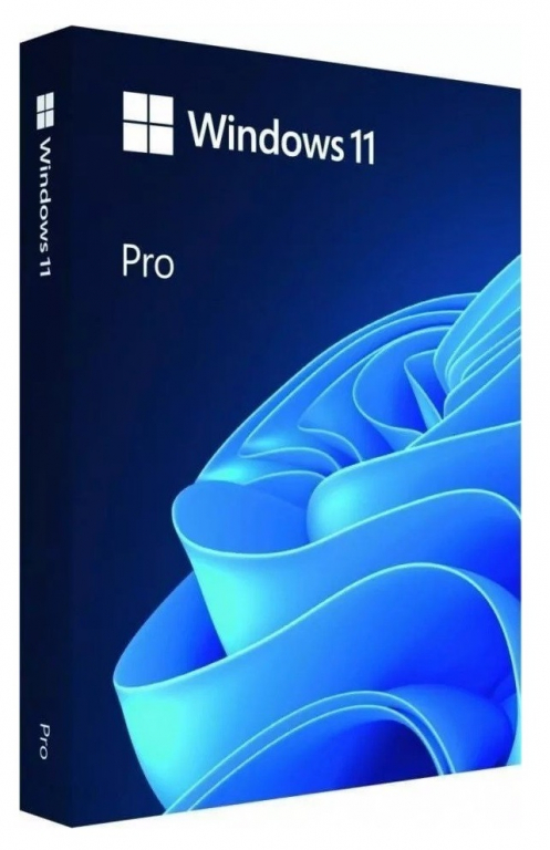 Windows 11 Pro - Box pack - 1 licence - flash drive - 64-bit - English International 