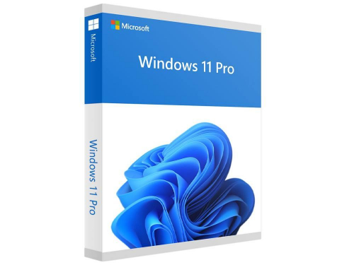 Windows 11 Pro - Box pack - 1 licence - flash drive - 64-bit - English International 