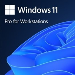 Microsoft OEM Windows 11 Pro for Workstations PL x64 HZV-00117