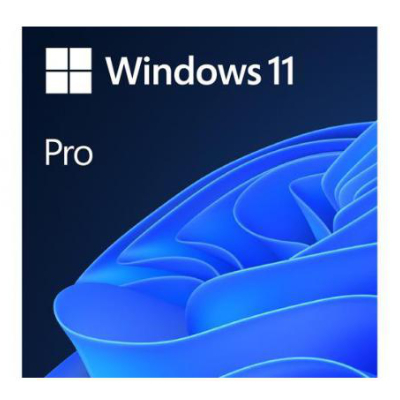 Win 11 Pro 64Bit Eng Intl 1pk DSP OEI DVD MICROSOFT