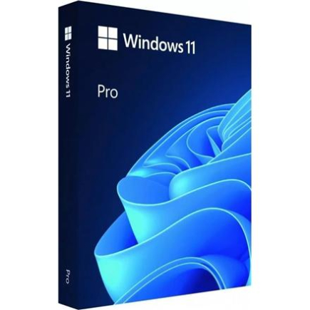 Microsoft | Windows 11 Pro | HAV-00163 | English | FPP | USB | 64-bit