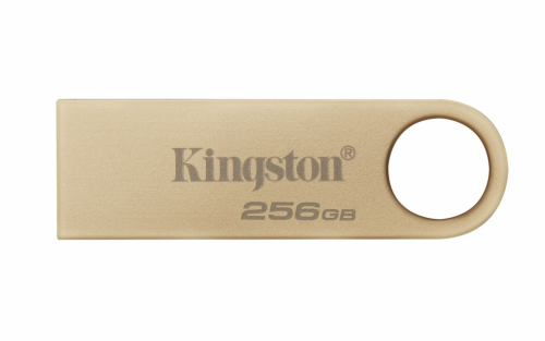 Kingston Technology DataTraveler 256GB 220MB/s Metal USB 3.2 Gen 1 SE9 G3