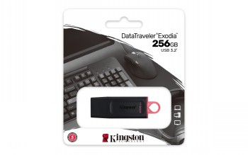 KINGSTON DATATRAVELER DTX/256GB