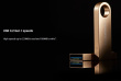 Kingston DataTraveler SE9 G3 - USB flash drive - 256 GB - USB 3.2 Gen 1 - gold - Up to 220MB/s read, 100MB/s write