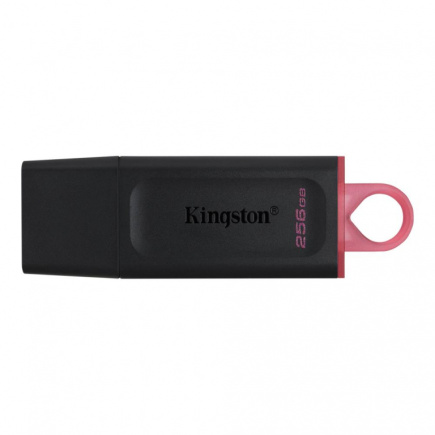 MEMORY DRIVE FLASH USB3.2/256GB DTX/256GB KINGSTON