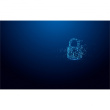 STICK 64GB Kingston IronKey Vault Privacy 50 retail