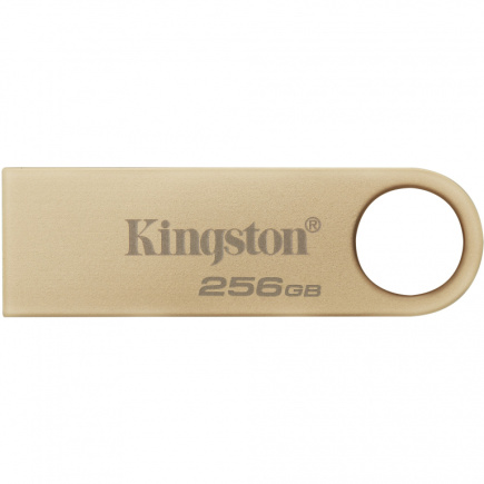 STICK 256GB DT USB 3.2 220MB/S GEN 1