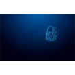 STICK USB-Stick 32GB Kingston IronKey Vault Privacy 50 retail