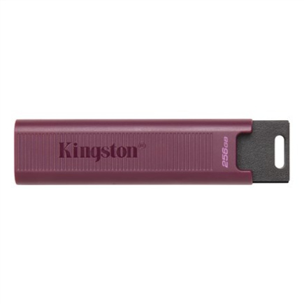 512GB USB 3.2 DATATRAVELER MAX