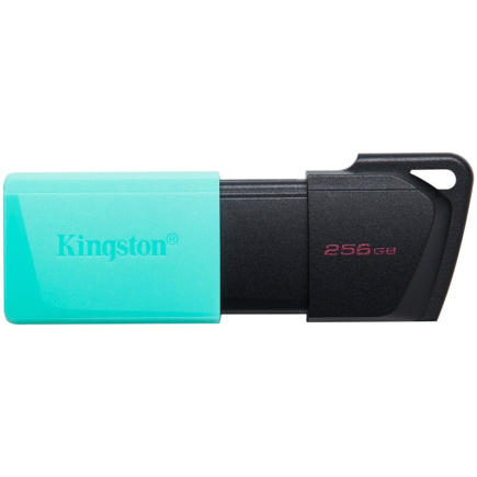Kingston 256GB USB3.2 Gen1 DataTraveler Exodia M (Must + Teal)