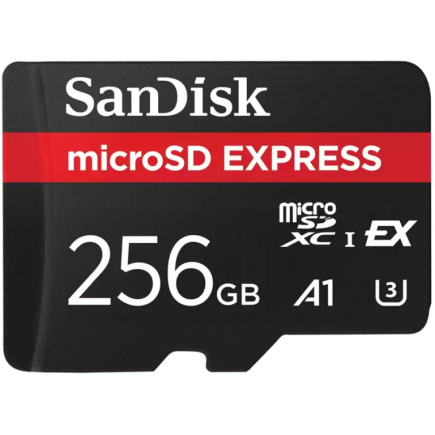 CARD EXPRESS MICRO 256GB