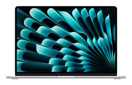 Apple MacBook Air Apple M M4 Laptop 38.9 cm (15.3