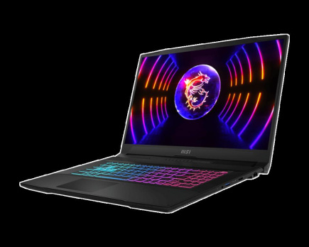 MSI Katana 17 B13VGK-856XPL Laptop 43.9 cm (17.3
