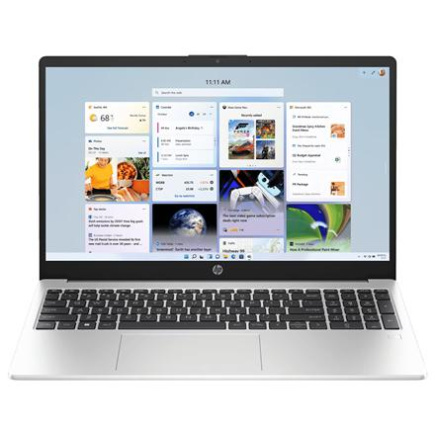 HP | 255 G10 | Silver | 15.6 